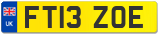FT13 ZOE