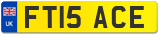 FT15 ACE