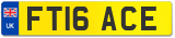 FT16 ACE