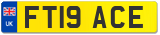 FT19 ACE