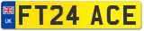 FT24 ACE