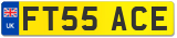 FT55 ACE