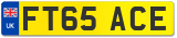 FT65 ACE