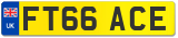 FT66 ACE