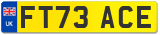 FT73 ACE