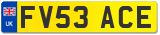 FV53 ACE