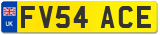 FV54 ACE
