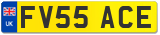 FV55 ACE