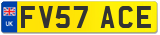 FV57 ACE