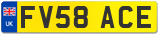 FV58 ACE