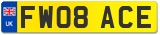 FW08 ACE
