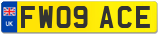 FW09 ACE