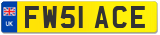 FW51 ACE