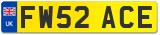 FW52 ACE