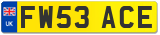 FW53 ACE