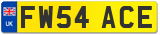 FW54 ACE