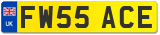 FW55 ACE