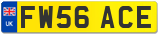 FW56 ACE