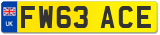 FW63 ACE