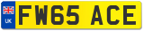 FW65 ACE