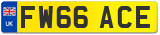 FW66 ACE