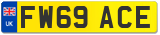 FW69 ACE