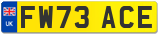 FW73 ACE