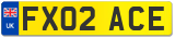 FX02 ACE