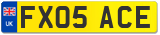 FX05 ACE