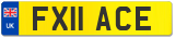 FX11 ACE