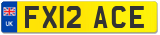 FX12 ACE