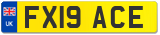 FX19 ACE