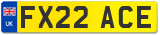 FX22 ACE