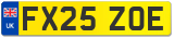 FX25 ZOE