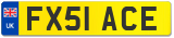 FX51 ACE