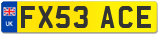 FX53 ACE