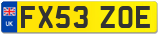 FX53 ZOE