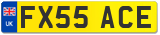 FX55 ACE