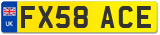 FX58 ACE