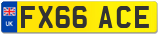 FX66 ACE