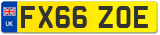 FX66 ZOE