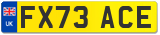 FX73 ACE