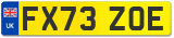 FX73 ZOE