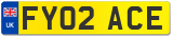 FY02 ACE