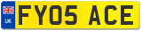 FY05 ACE