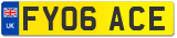 FY06 ACE