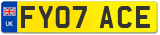 FY07 ACE