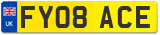 FY08 ACE