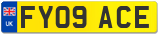 FY09 ACE