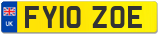 FY10 ZOE